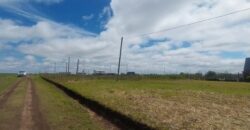 Terreno en venta Loma Hermosa Aldea Brasilera